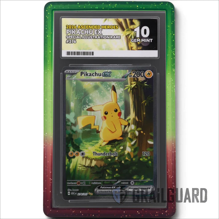 GrailGuard ACE Slab Bumper Protector - Elderwood